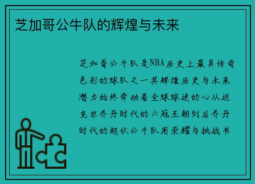 芝加哥公牛队的辉煌与未来
