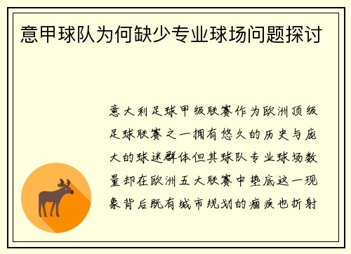 意甲球队为何缺少专业球场问题探讨