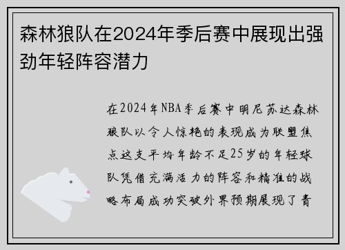 森林狼队在2024年季后赛中展现出强劲年轻阵容潜力
